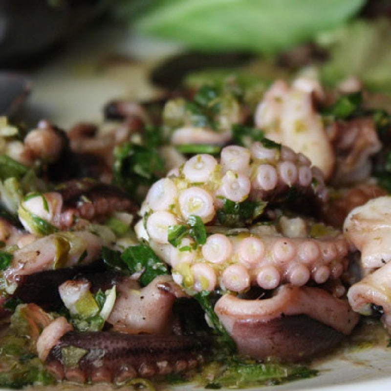 Octopus Salad