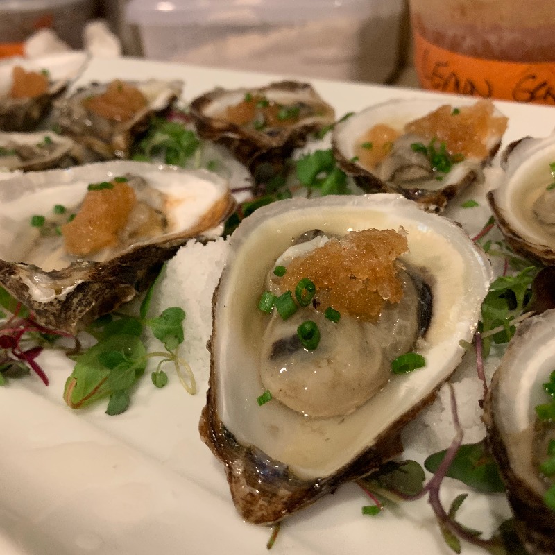 oysters / yuzu - chili granita 