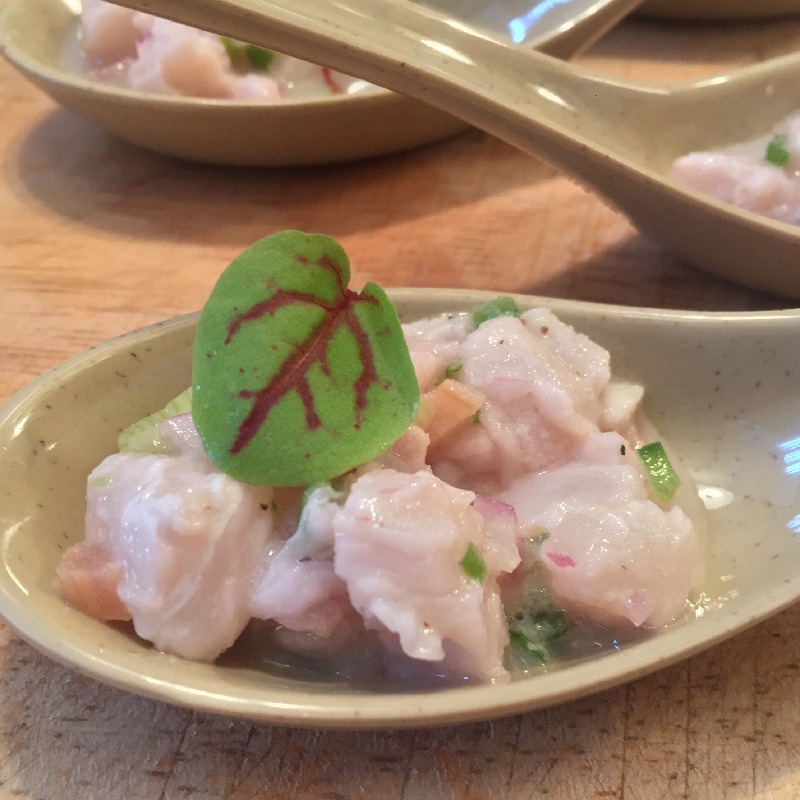 bass crudo spoons with coconut and lime 