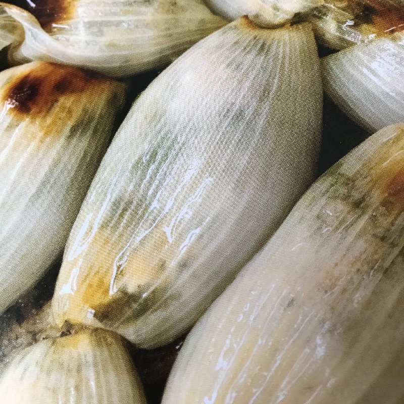 Stuffed Stuffed Onions