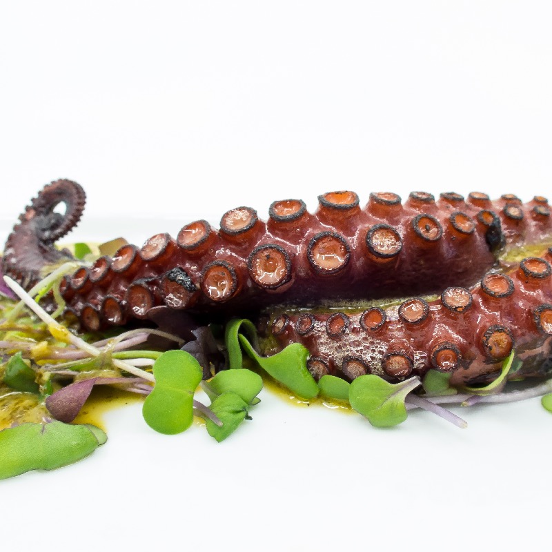 Charred Octopus