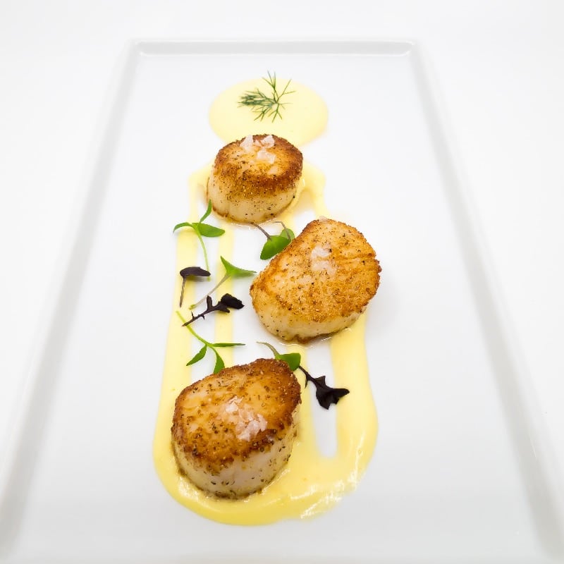 Scallops
