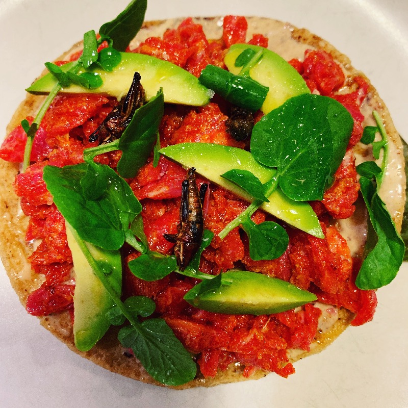 Beef tartare árbol chili salsa, grasshopper and avocado