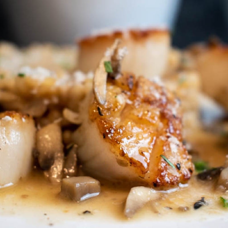 Scallops with Mushroom Risotto