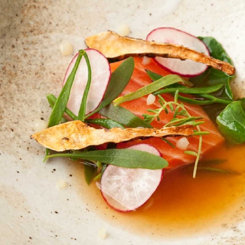 Salmon