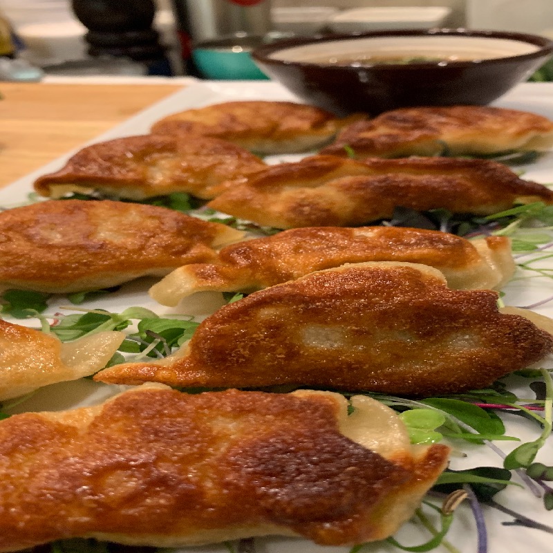 spicy chicken potstickers