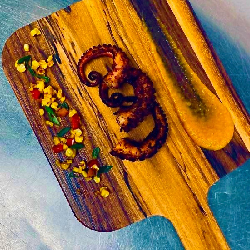 octopus 