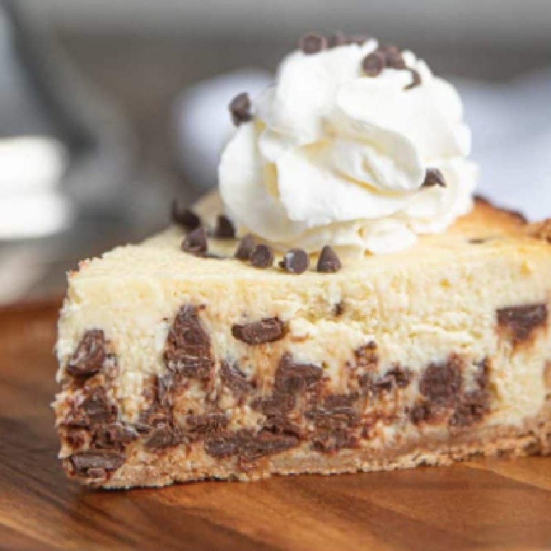 Chocolate chip cheesecake