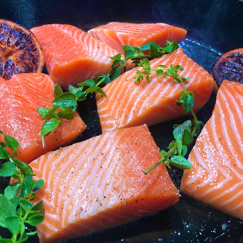 Salmon