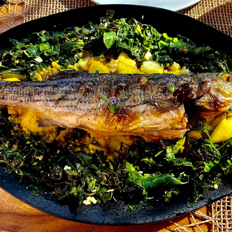 Striped Bass