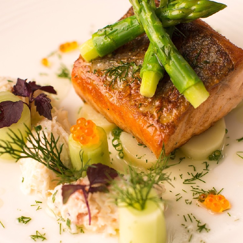 salmon