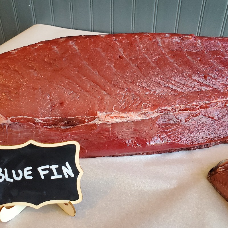 Bluefin Tuna 