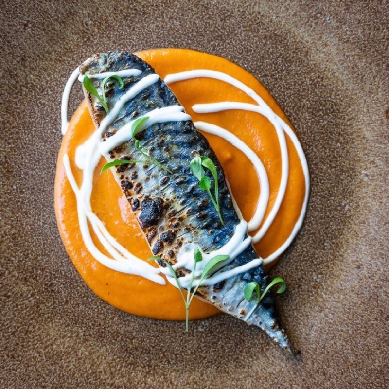 Cured mackerel, curry and yogurt 