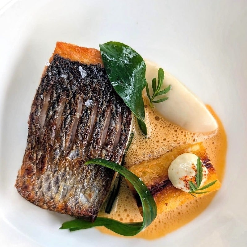 seabass