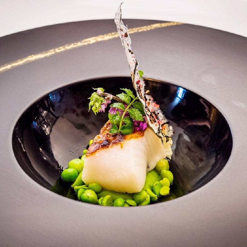 miso cod