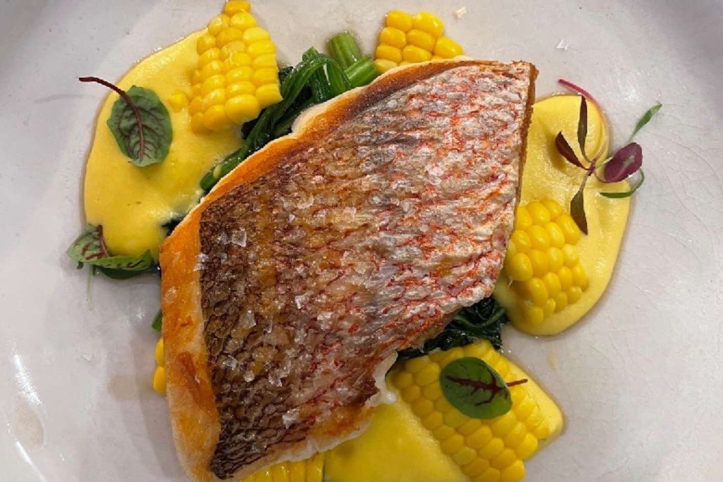 Private-chef-mattia-nyc-dish